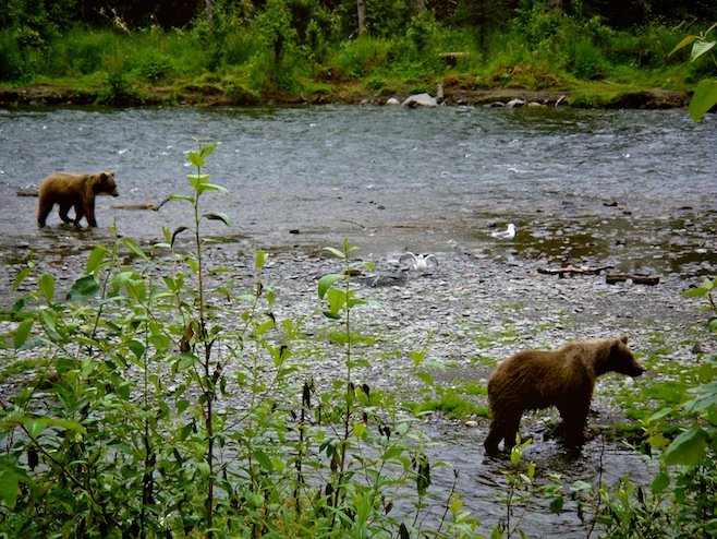 Russian River